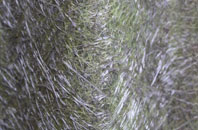 Elmley Lovett fibreglass roof work